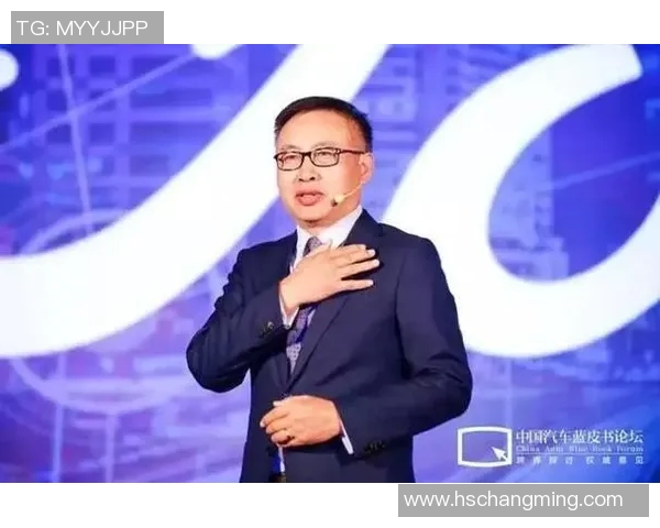 独家解析:WE在行业竞争中的速度优势与挑战全面对比分析 独家解析:WE在行业竞争中的速度优势与挑战全面对比分析