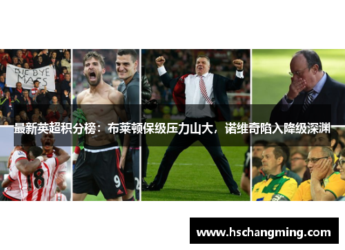 最新英超积分榜：布莱顿保级压力山大，诺维奇陷入降级深渊