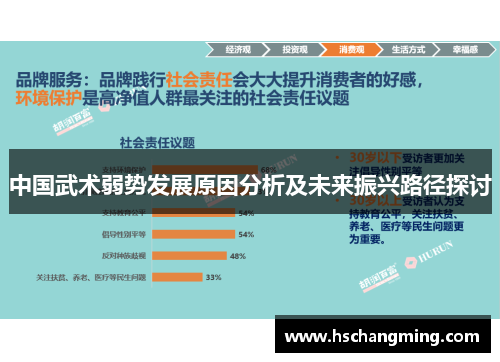 中国武术弱势发展原因分析及未来振兴路径探讨