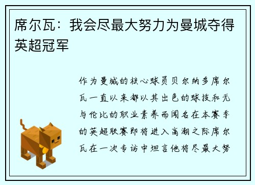 席尔瓦：我会尽最大努力为曼城夺得英超冠军